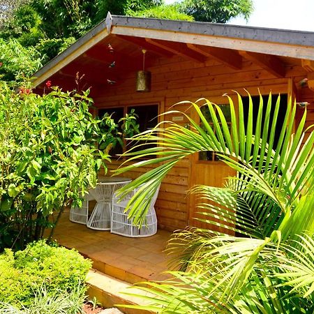 Severine Cottages And Lounge Ltd 나이로비 외부 사진