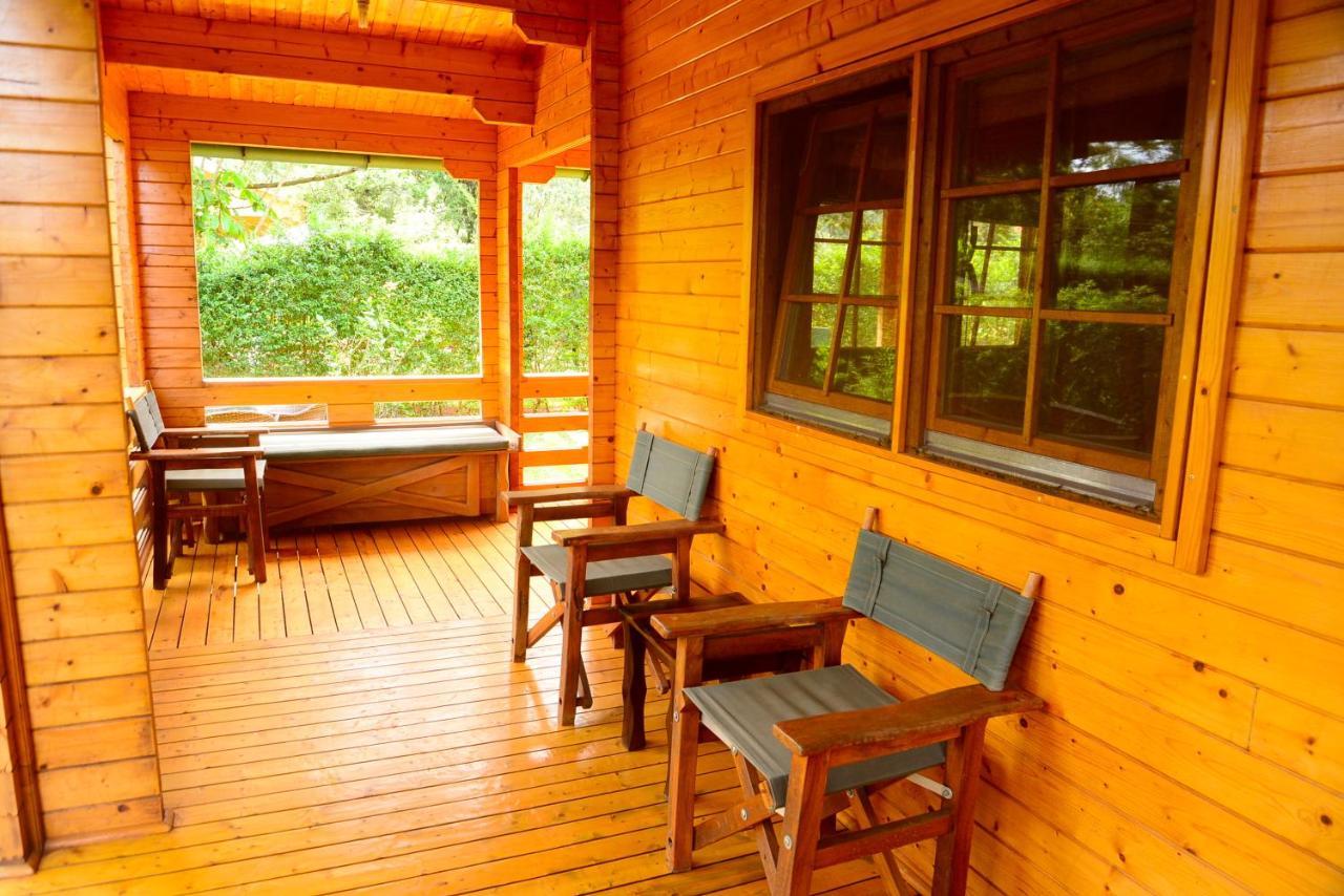 Severine Cottages And Lounge Ltd 나이로비 외부 사진