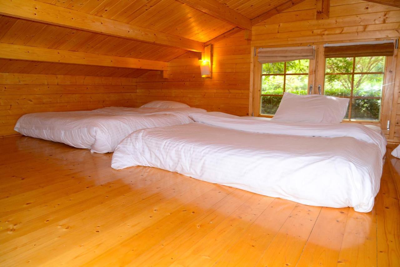 Severine Cottages And Lounge Ltd 나이로비 외부 사진